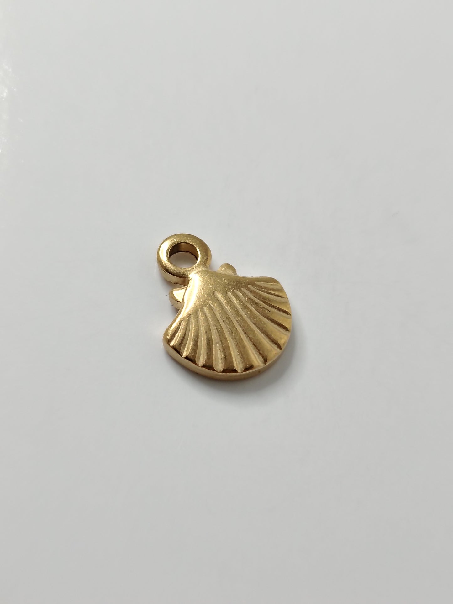 COQUILLAGE