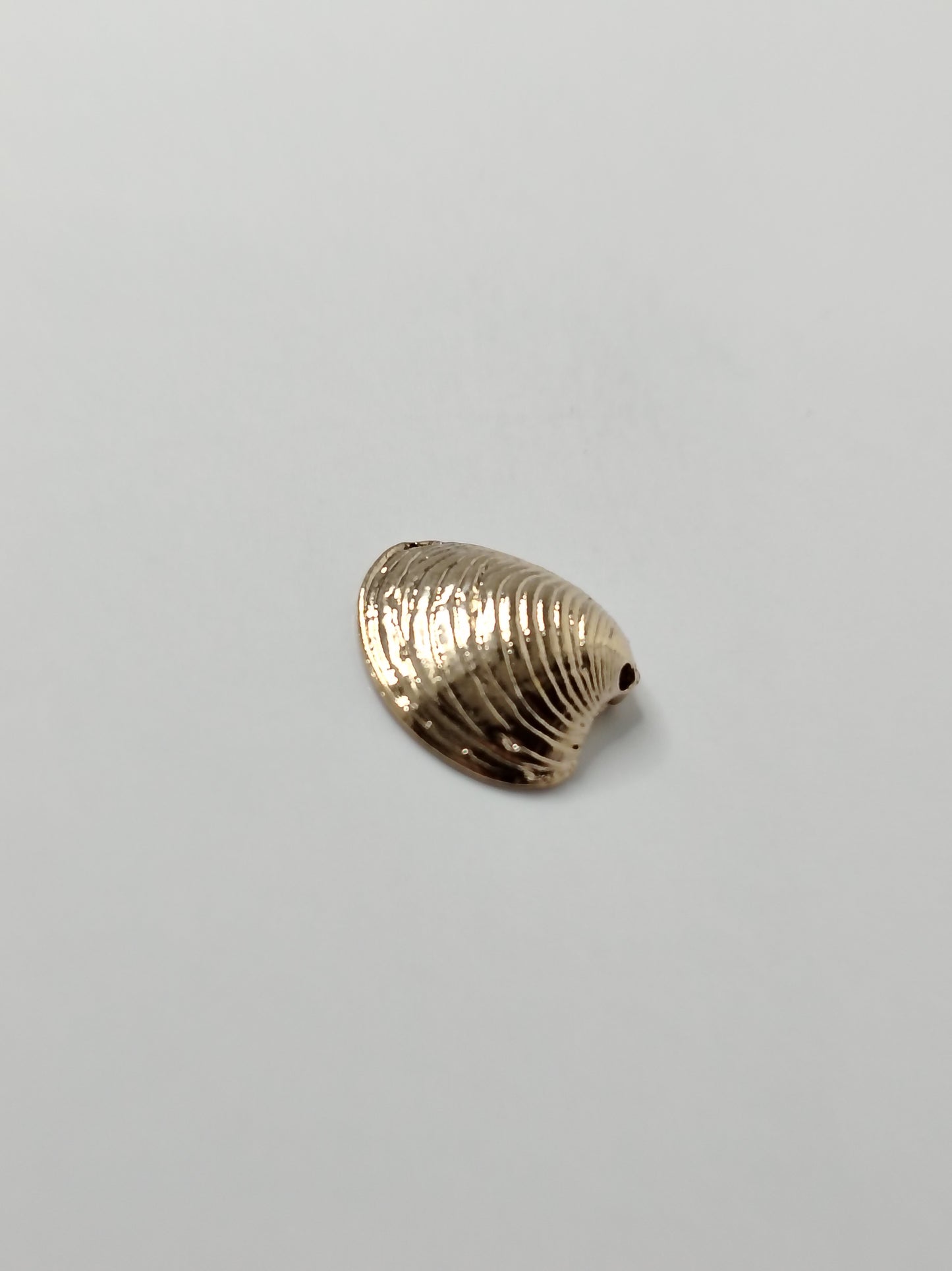 COQUILLAGE