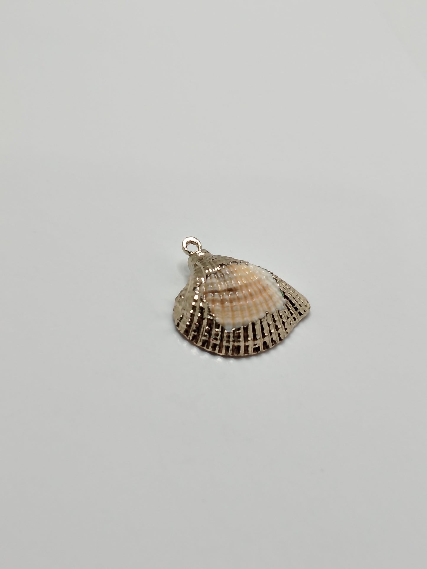 COQUILLAGE